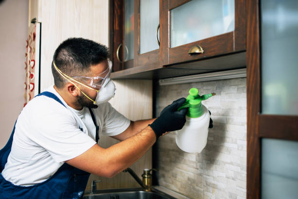 Best Pest Control Near Me in Alum Rock, CA