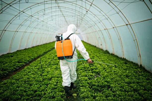Best Emergency Pest Control  in Alum Rock, CA