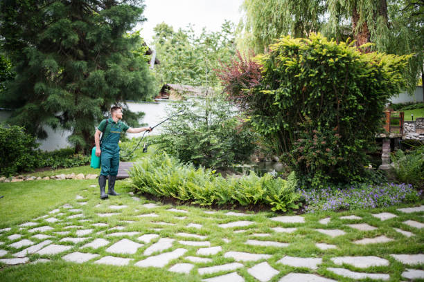 Best Bird Control  in Alum Rock, CA