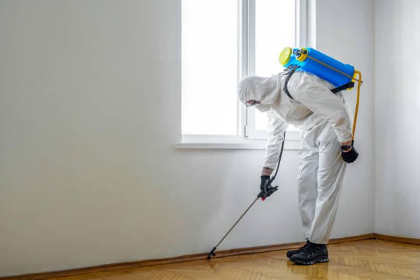 Best Pest Removal Services  in Alum Rock, CA
