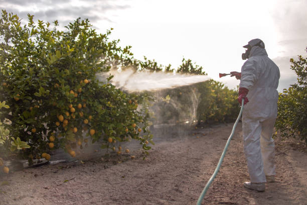 Best Pest Prevention Services  in Alum Rock, CA