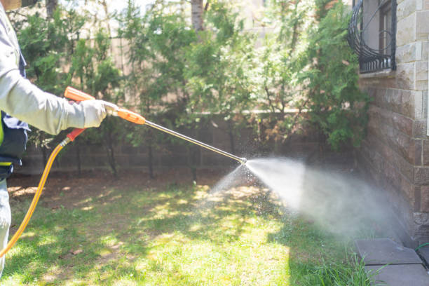 Pest Control for Restaurants in Alum Rock, CA