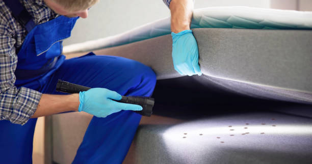 Pest Prevention Services in Alum Rock, CA