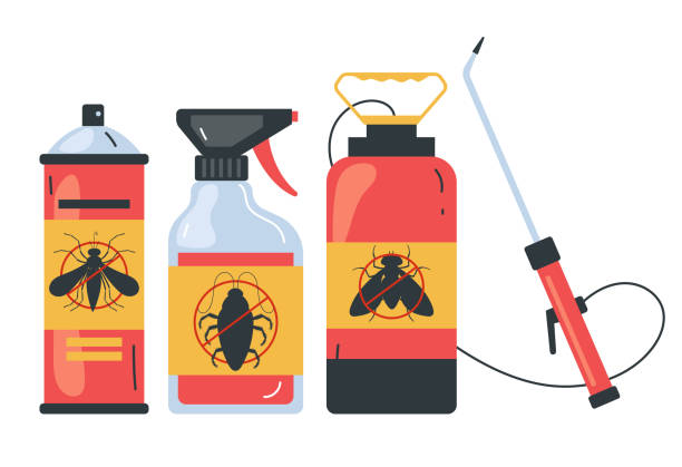 Insect Control in Alum Rock, CA